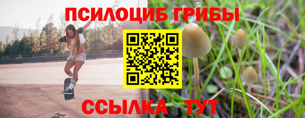 Псилоцибиновые грибы Cubensis  Вход с VPN  Псилоцибиновые грибы ЛСД  купить наркотик  Будённовск 